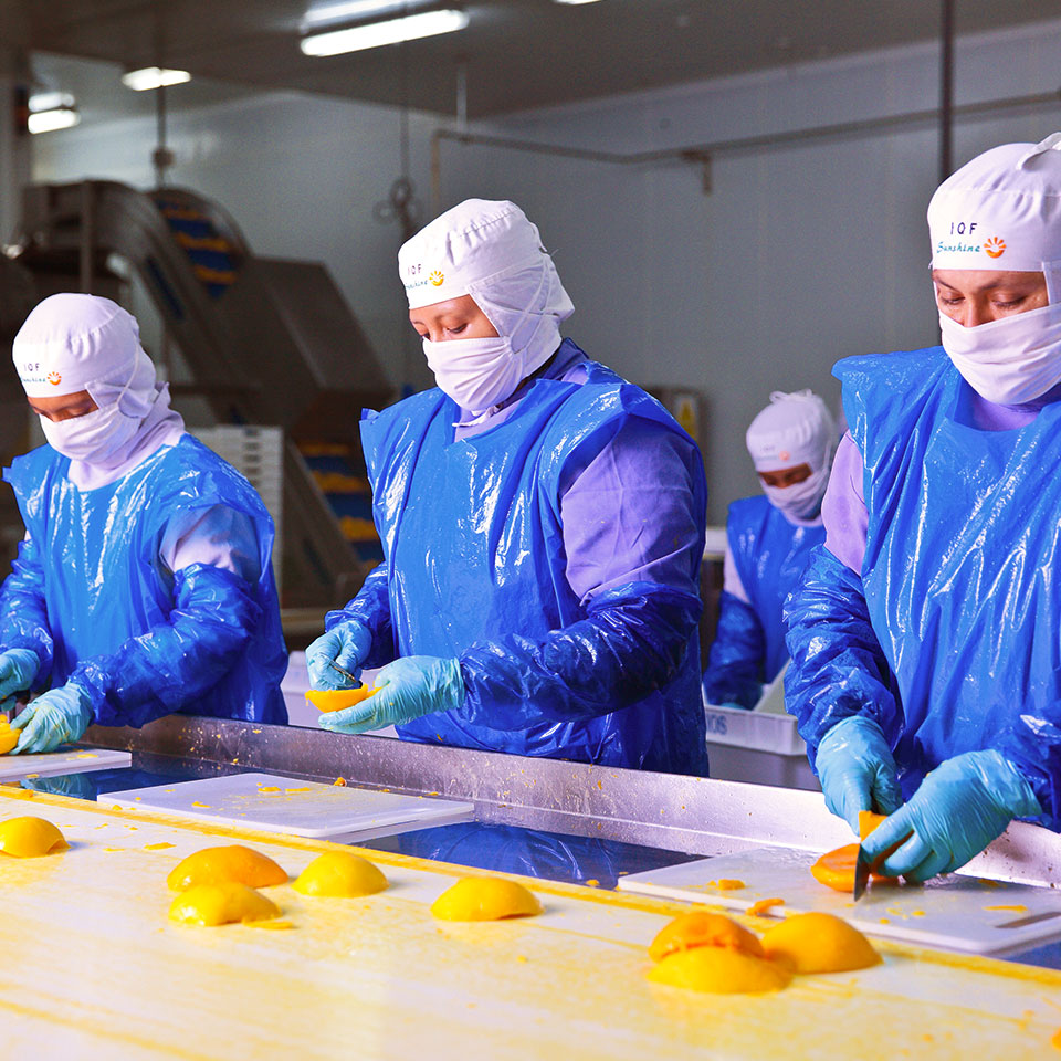Nave de Productos Procesados